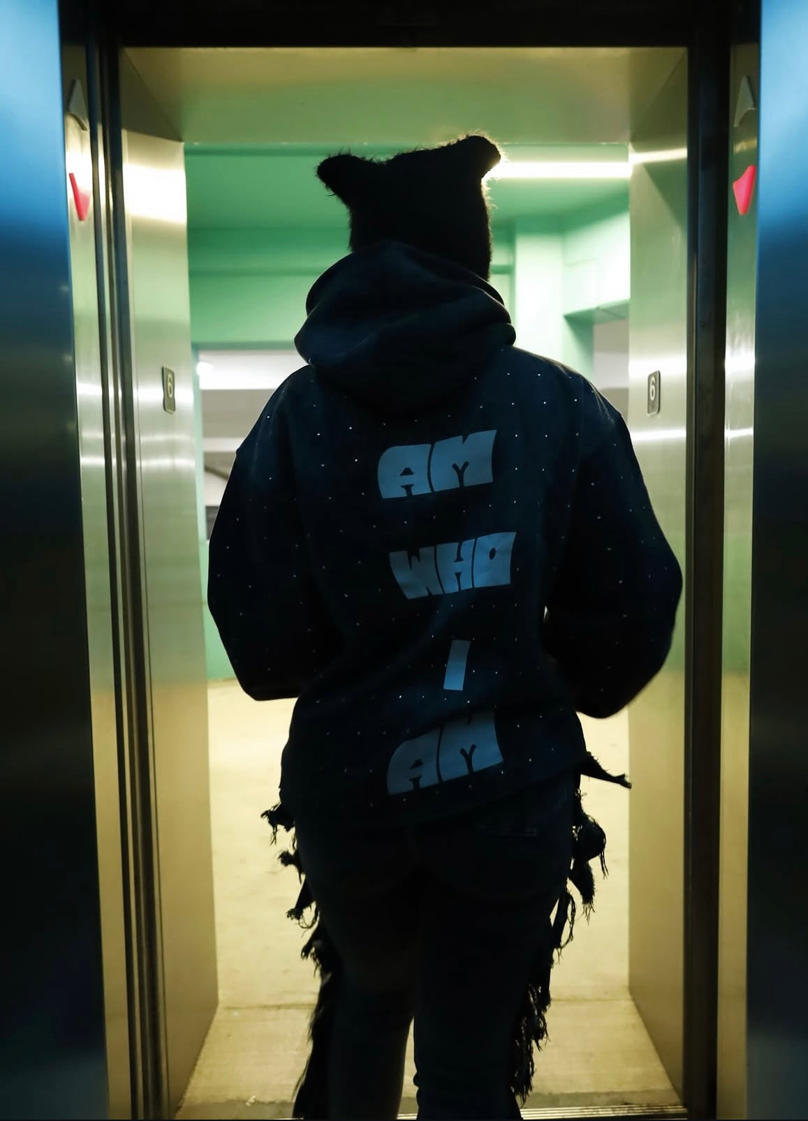 "I Am what I Am" Hoodie